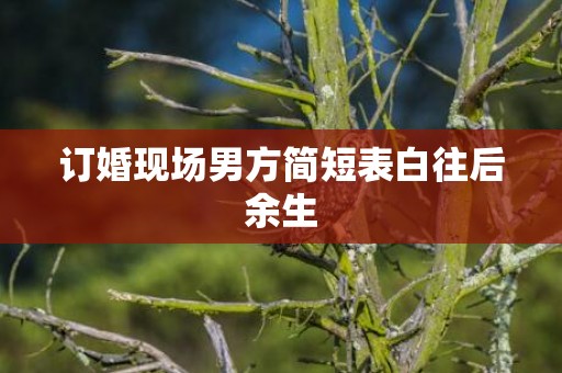 订婚现场男方简短表白往后余生