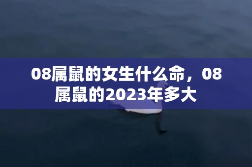 08属鼠的女生什么命，08属鼠的2023年多大