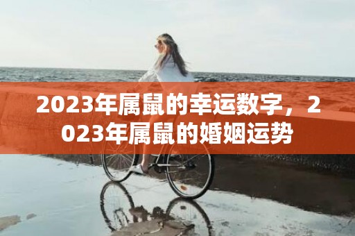2023年属鼠的幸运数字，2023年属鼠的婚姻运势