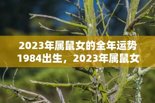 2023年属鼠女的全年运势1984出生，2023年属鼠女要倒霉了