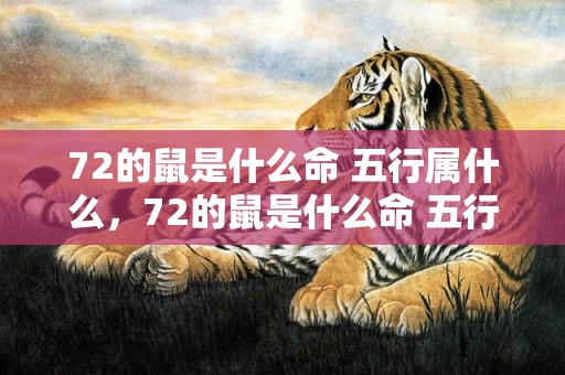 72的鼠是什么命 五行属什么，72的鼠是什么命 五行属什么
