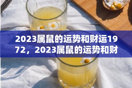 2023属鼠的运势和财运1972，2023属鼠的运势和财运