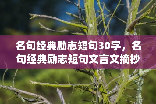 名句经典励志短句30字，名句经典励志短句文言文摘抄(经典爱情文言文句子)