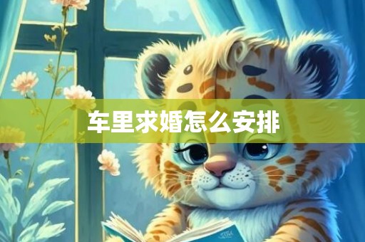 车里求婚怎么安排