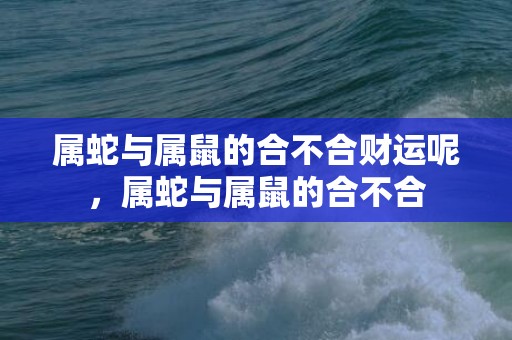 属蛇与属鼠的合不合财运呢，属蛇与属鼠的合不合