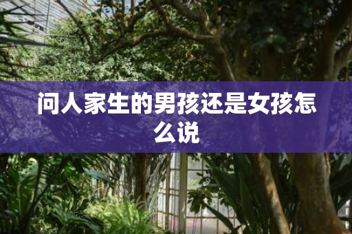问人家生的男孩还是女孩怎么说