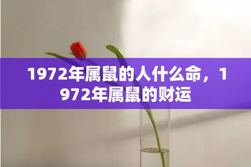 1972年属鼠的人什么命，1972年属鼠的财运