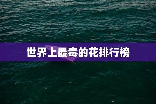 世界上最毒的花排行榜
