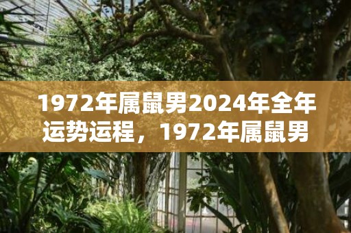 1972年属鼠男2024年全年运势运程，1972年属鼠男一生婚姻