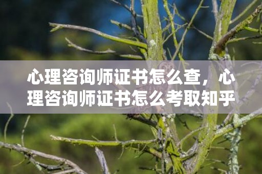 心理咨询师证书怎么查，心理咨询师证书怎么考取知乎？人社的心理咨询师的考证