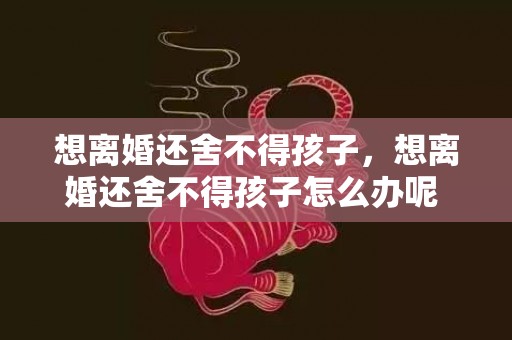 想离婚还舍不得孩子，想离婚还舍不得孩子怎么办呢 想离婚了可是舍不得小孩怎么办