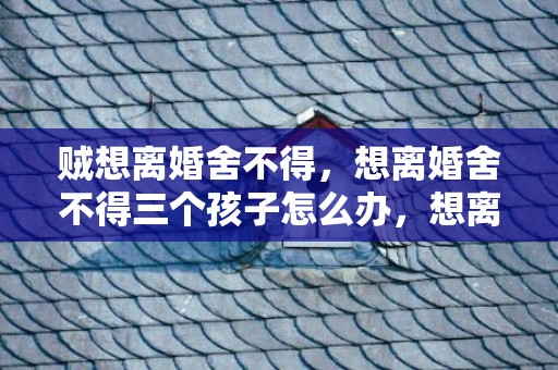 贼想离婚舍不得，想离婚舍不得三个孩子怎么办，想离婚但是心疼孩子