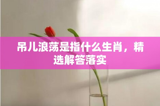 吊儿浪荡是指什么生肖，精选解答落实