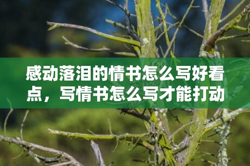 感动落泪的情书怎么写好看点，写情书怎么写才能打动别人的心
