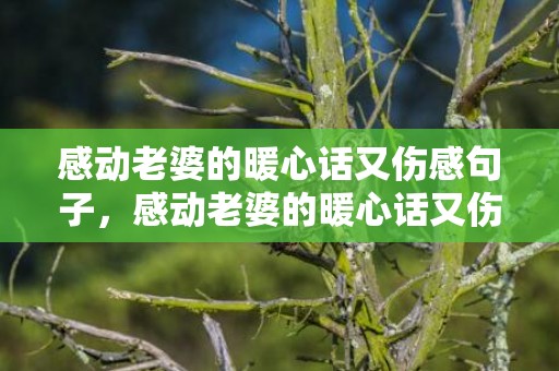 感动老婆的暖心话又伤感句子，感动老婆的暖心话又伤感句子 新年对老婆说的暖心话