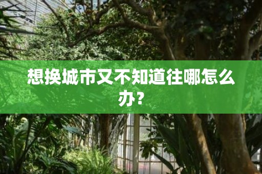 想换城市又不知道往哪怎么办？
