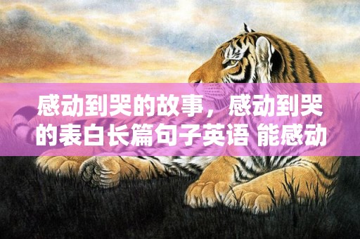 感动到哭的故事，感动到哭的表白长篇句子英语 能感动女朋友哭的情书