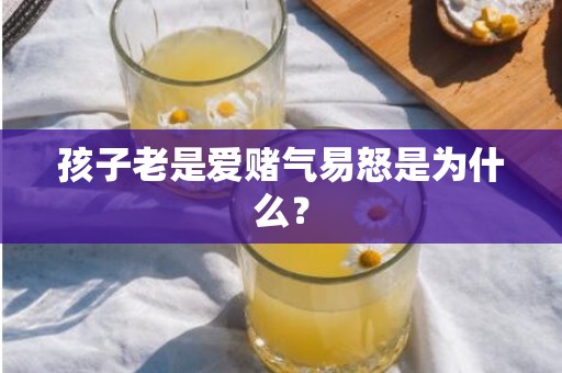 孩子老是爱赌气易怒是为什么？