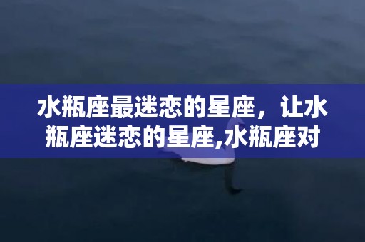 水瓶座最迷恋的星座，让水瓶座迷恋的星座,水瓶座对哪个星座最痴迷