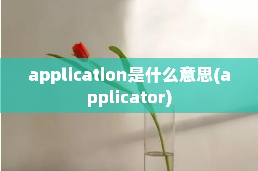 application是什么意思(applicator)