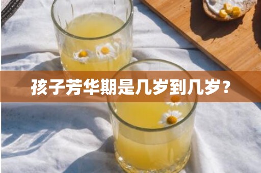 孩子芳华期是几岁到几岁？