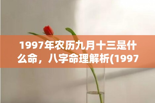 1997年农历九月十三是什么命，八字命理解析(1997年农历九月初九是什么星座)