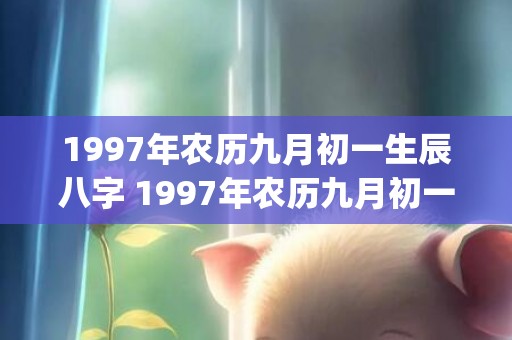 1997年农历九月初一生辰八字 1997年农历九月初一是什么命运(1997年农历九月二十一是什么星座)