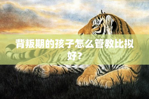 背叛期的孩子怎么管教比拟好？
