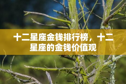 十二星座金钱排行榜，十二星座的金钱价值观