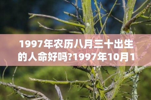 1997年农历八月三十出生的人命好吗?1997年10月1日是什么命?(1997年农历八月初三是什么星座)