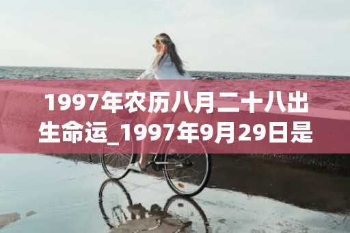1997年农历八月二十八出生命运_1997年9月29日是什么命(1997年农历八月二十)