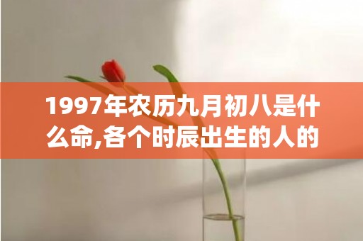 1997年农历九月初八是什么命,各个时辰出生的人的命运(1997年农历九月初八是什么星座)