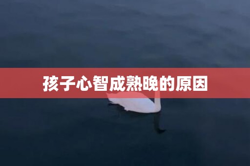 孩子心智成熟晚的原因