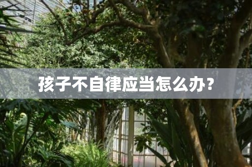 孩子不自律应当怎么办？