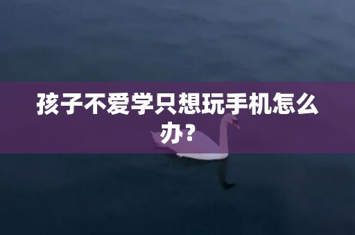 孩子不爱学只想玩手机怎么办？