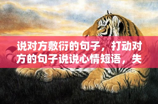说对方敷衍的句子，打动对方的句子说说心情短语，失落的句子说说心情