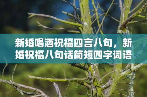 新婚喝酒祝福四言八句，新婚祝福八句话简短四字词语 婚礼祝福四字成语
