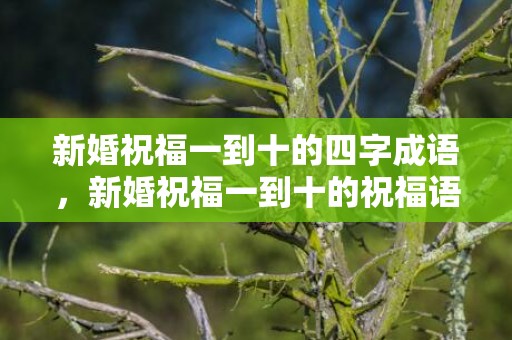 新婚祝福一到十的四字成语，新婚祝福一到十的祝福语简短 对朋友的祝福语简短