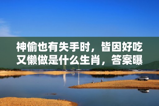 神偷也有失手时，皆因好吃又懒做是什么生肖，答案曝光落实