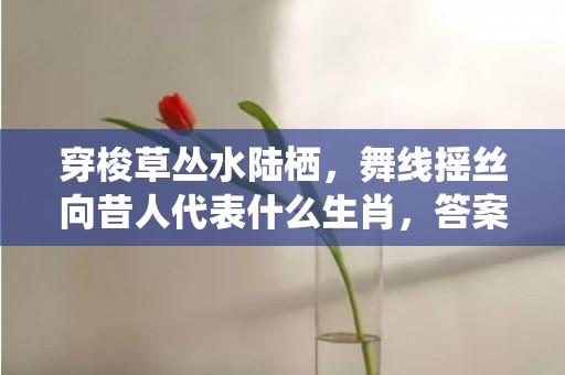 穿梭草丛水陆栖，舞线摇丝向昔人代表什么生肖，答案曝光落实