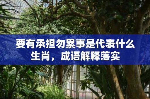 要有承担勿累事是代表什么生肖，成语解释落实