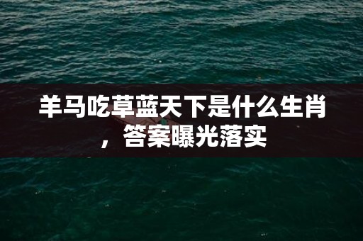 羊马吃草蓝天下是什么生肖，答案曝光落实