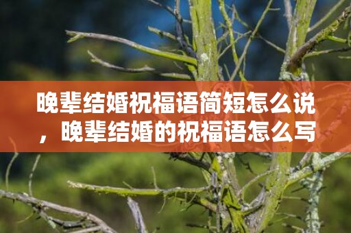 晚辈结婚祝福语简短怎么说，晚辈结婚的祝福语怎么写好呢，结婚送红包祝福语怎么写