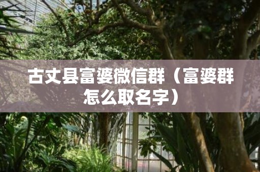 古丈县富婆微信群（富婆群怎么取名字）