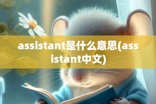 assistant是什么意思(assistant中文)