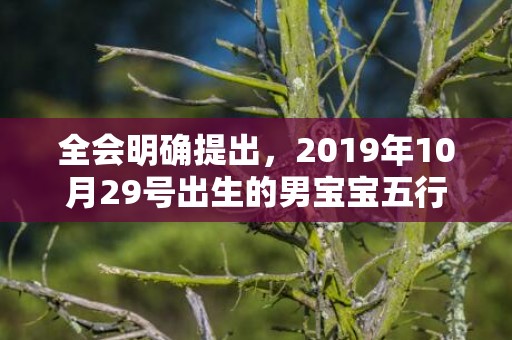 全会明确提出，2019年10月29号出生的男宝宝五行缺土取名注意事项