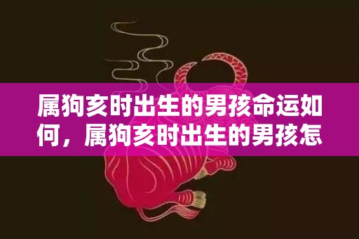 属狗亥时出生的男孩命运如何，属狗亥时出生的男孩怎样起名，宜用哪些