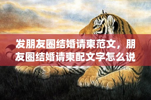 发朋友圈结婚请柬范文，朋友圈结婚请柬配文字怎么说(发朋友圈结婚请柬范文)