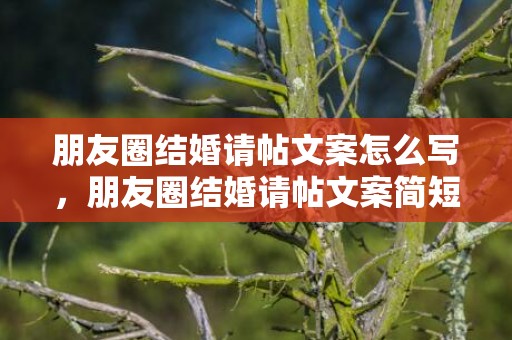 朋友圈结婚请帖文案怎么写，朋友圈结婚请帖文案简短幽默，结婚请柬幽默风趣范文