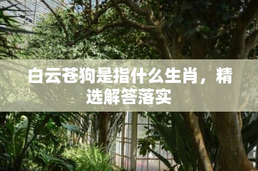 白云苍狗是指什么生肖，精选解答落实